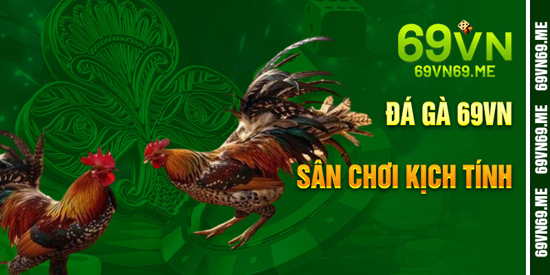 Đá Gà 69VN – Sân Chơi Cá Cược Trực Tiếp Kịch Tính